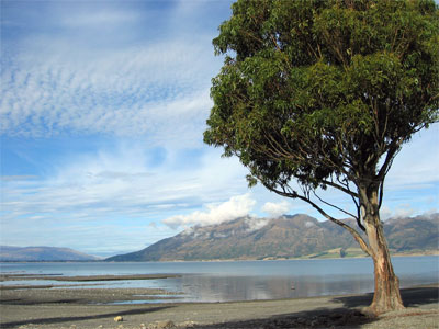 Lake_Hawea